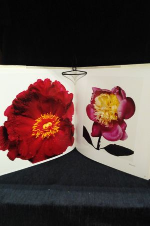 Flowers | ISBN: 9780517540749