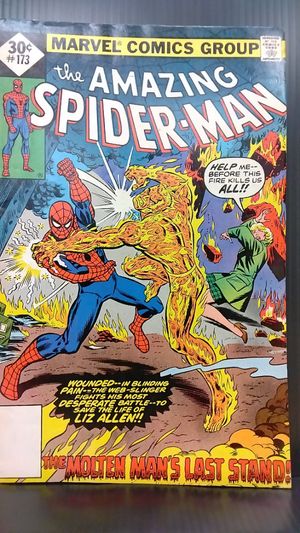 The Amazing Spider-man #173C image number 0