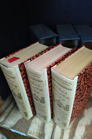 The Book of the Thousand Nights and a Night image number 2