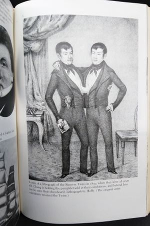 The Two: Biography of the Original Siamese Twins image number 2