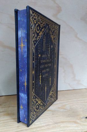 Until the Stars Fall image number 1