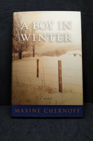 A Boy in Winter image number 0
