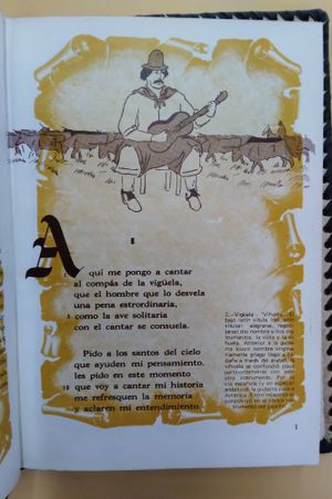 Mart&iacute;n Fierro image number 2