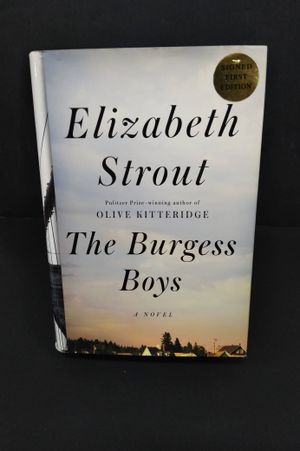 The Burgess Boys: A Novel image number 0