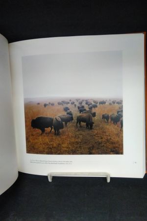 Heartland: The Photographs of Terry Evans (Nelson-Atkins Museum of Art) image number 2