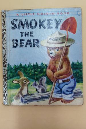 Smokey the Bear image number 0