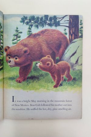 Smokey the Bear image number 1