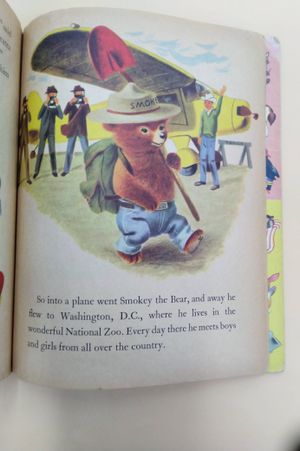 Smokey the Bear image number 2