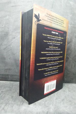 Iron Flame image number 1