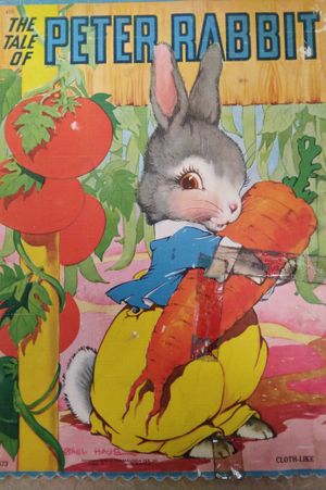 The Tale of Peter Rabbit image number 0