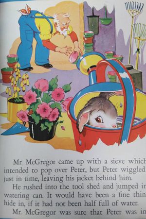 The Tale of Peter Rabbit image number 1