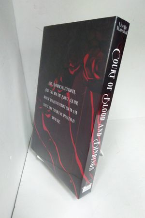 Court of Blood and Bindings image number 2