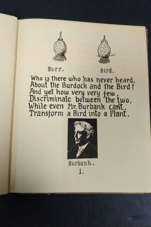 How to Tell the Birds from the Flowers and Other Wood-cuts image number 2
