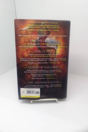 Crown of Midnight image number 1