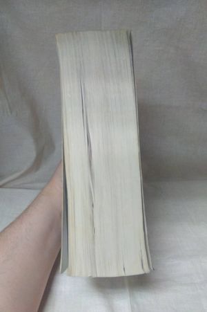 Kingdom of Ash (Throne of Glass) image number 2