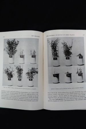 The Plant World image number 1