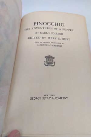 Pinocchio the Adventures of a Puppet image number 1
