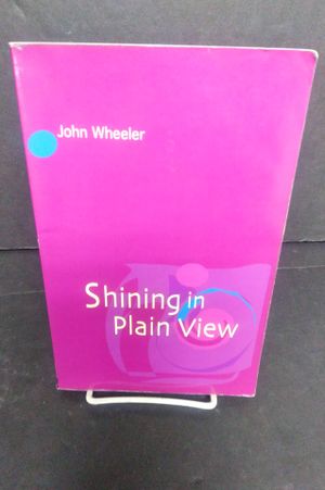 Shining in Plain View image number 0