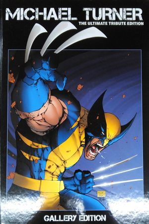 Michael Turner Ultimate Tribute Edition Gallery Edition image number 0