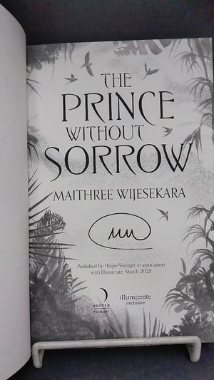 The Prince Without Sorrow image number 1