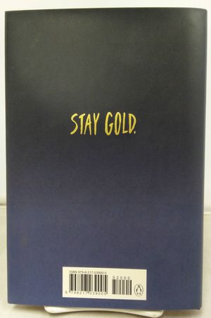 The Outsiders image number 1