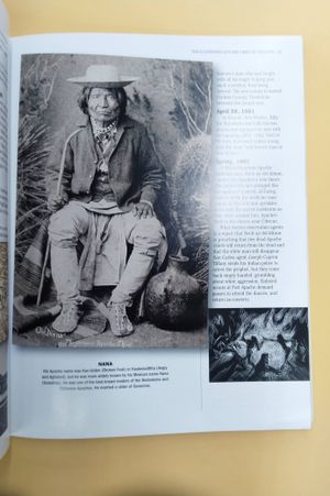 The Illustrated Life and Times of Geronimo image number 2