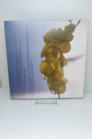 Upstream Color image number 1