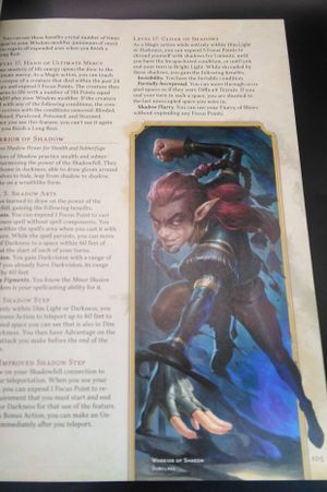 Dungeons & Dragons: Player Handbook image number 2