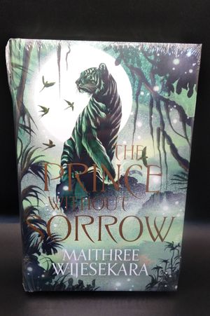 The Prince Without Sorrow image number 0