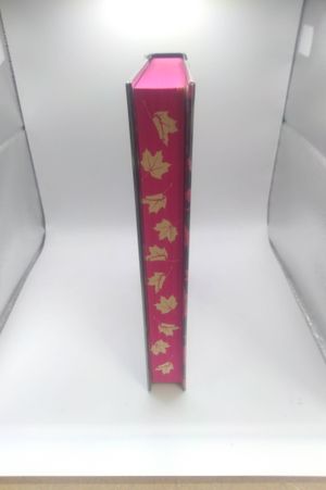The Iron Sword image number 2