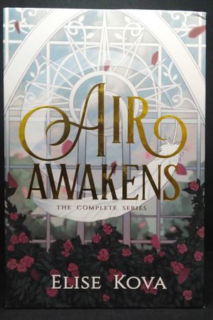 Air Awakens image number 0
