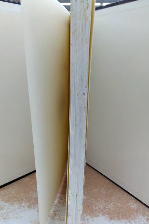 Atlas of Middle-earth image number 2