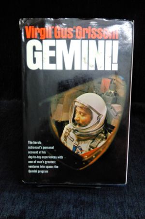 Gemini! image number 0