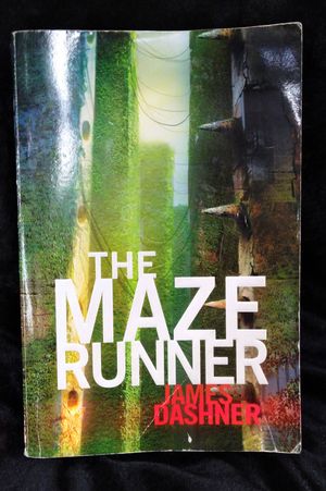 The Maze Runner image number 0