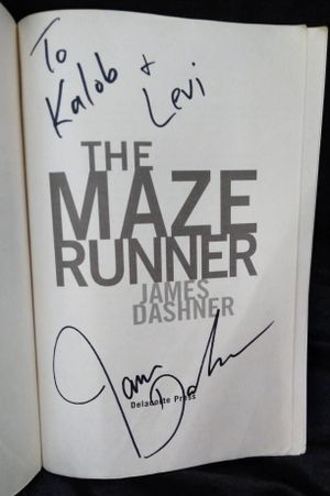 The Maze Runner image number 1