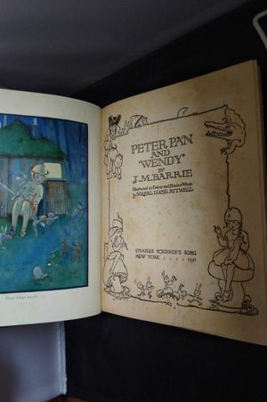 Peter Pan and Wendy image number 2