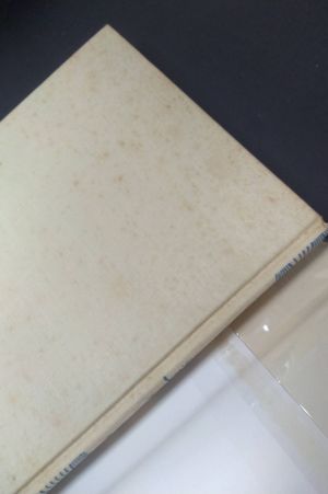 A Single Pebble image number 2