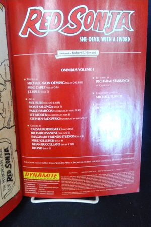 Red Sonja Omnibus Volume 1 image number 2