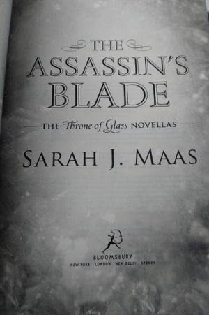 The Assassin's Blade image number 2