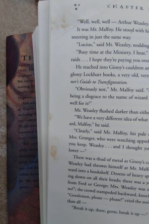 Harry Potter and the Chamber of Secrets image number 2