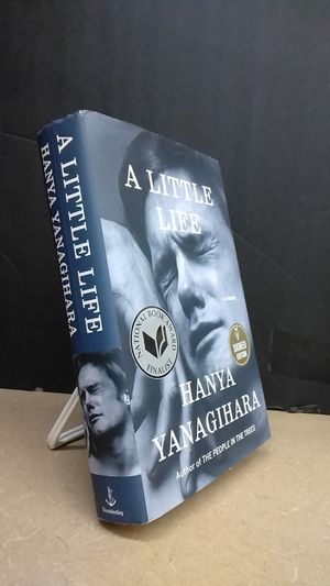 A Little Life image number 0