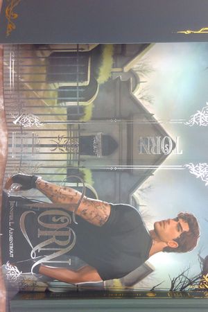 Torn image number 1
