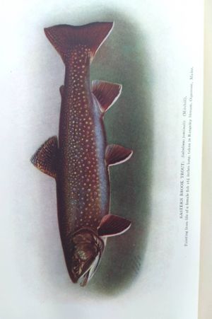 The New Nature Library Volume VI image number 2