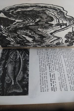 Spoonplugging: Your Guide to Lunker Catches image number 2