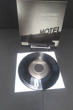 The Resolution image number 2