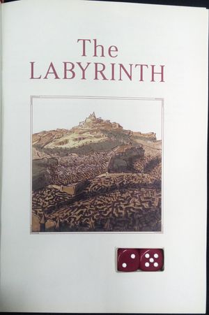 Labyrinth The Adventure Game image number 1