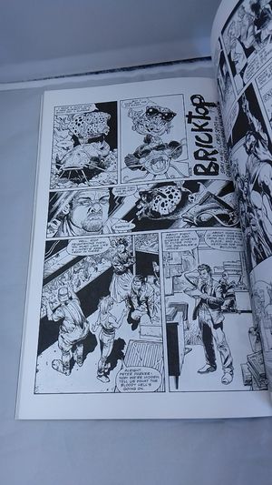 A1 Book 6  image number 2