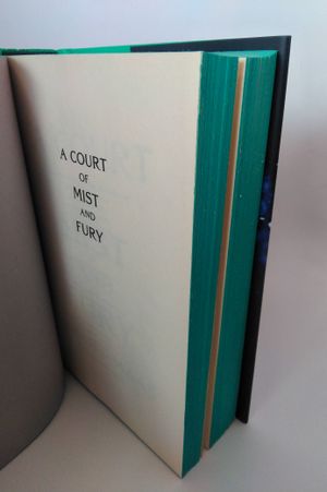 A Court of Mist and Fury image number 1