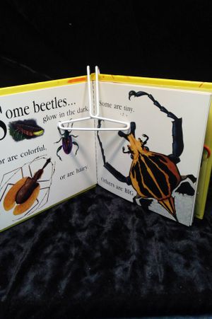 Beetle image number 1
