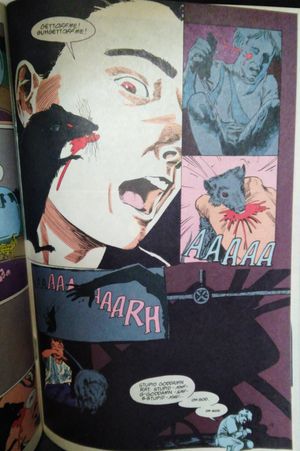 The Sandman No. 11 The Doll House Part 2 image number 1